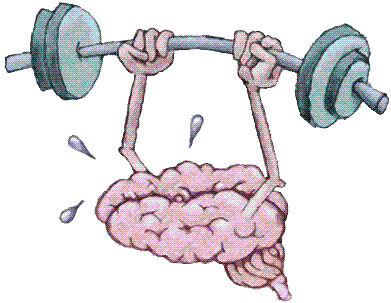 Ejercicios para entrenar el cerebro